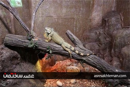 باغ خزندگان اصفهان