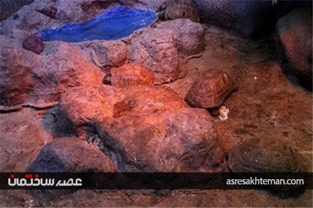 باغ خزندگان اصفهان