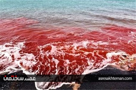 طبیعت رویایی جزیره هرمز +تصاویر