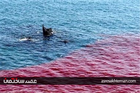 طبیعت رویایی جزیره هرمز +تصاویر