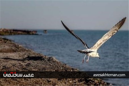 طبیعت رویایی جزیره هرمز +تصاویر
