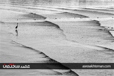 طبیعت رویایی جزیره هرمز +تصاویر
