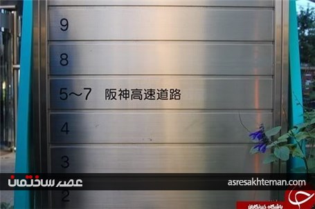 عبور حیرت انگیز بزرگراه از داخل یک ساختمان! +تصاویر