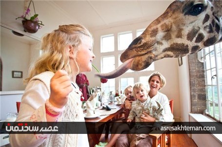 شگفت انگیزترین هتل های جهان + تصاویر