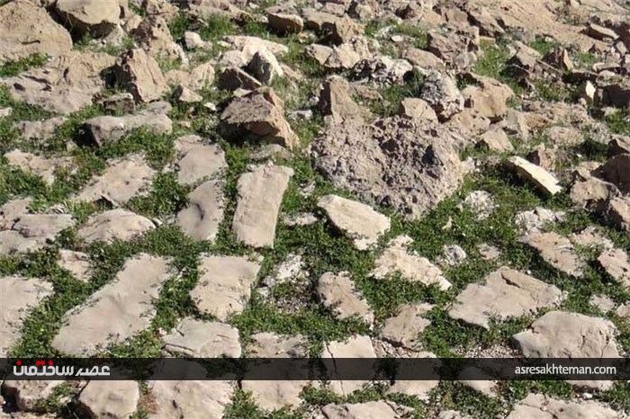 کشف سنگفرش 1800 ساله یک کیلومتری از جنس لاشه در ایران +تصاویر