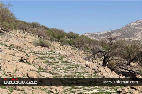 کشف سنگفرش 1800 ساله یک کیلومتری از جنس لاشه در ایران +تصاویر