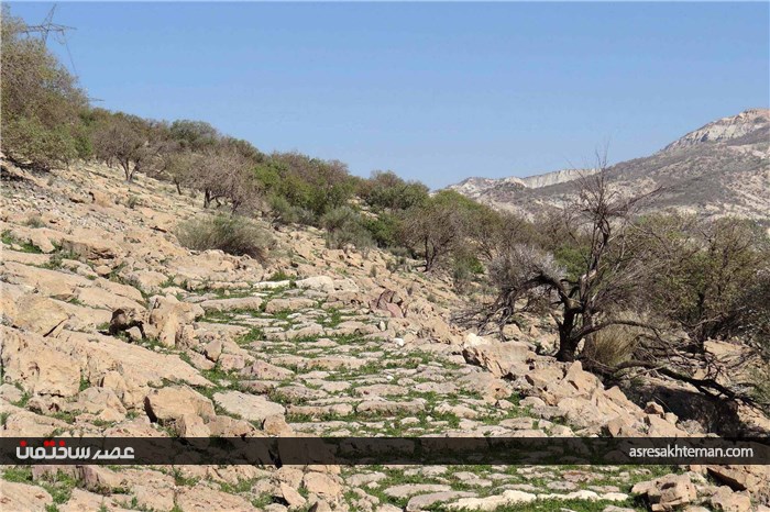 کشف سنگفرش 1800 ساله یک کیلومتری از جنس لاشه در ایران +تصاویر