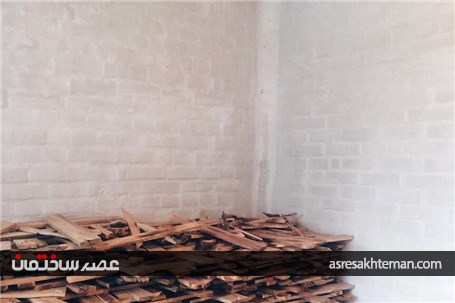 طراح دکوری که جنگل را به خانه شما می آورد+تصاویر