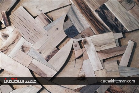 طراح دکوری که جنگل را به خانه شما می آورد+تصاویر