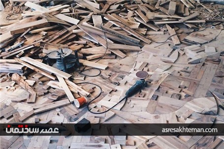 طراح دکوری که جنگل را به خانه شما می آورد+تصاویر