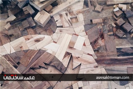 طراح دکوری که جنگل را به خانه شما می آورد+تصاویر