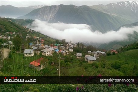 جنگل دالخانی یا دالان بهشت/کوچ مجازی به دل طبیعت+تصاویر