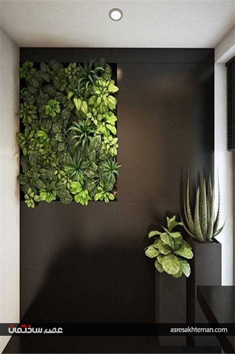 معماریِ خانه‌ای لهستانی نمادی از آرامش