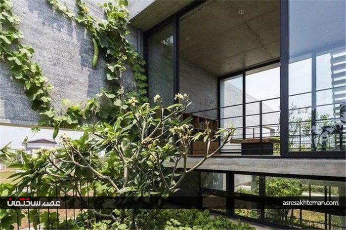 کولرهای گیاهی هم به بازار آمدند+تصاویر