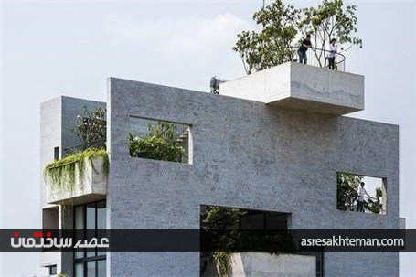 کولرهای گیاهی هم به بازار آمدند+تصاویر