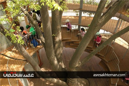 مهدکودک درختی در ژاپن