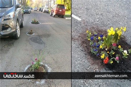 تبدیل چاله ها و ترک های خیابان به گلدان+تصاویر