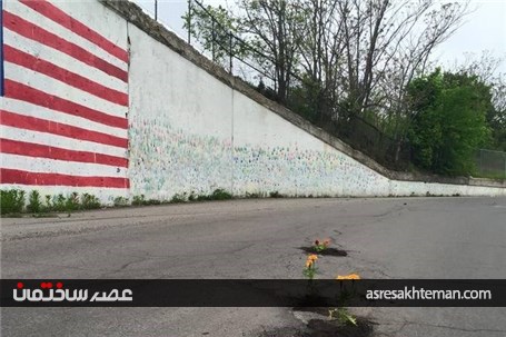 تبدیل چاله ها و ترک های خیابان به گلدان+تصاویر