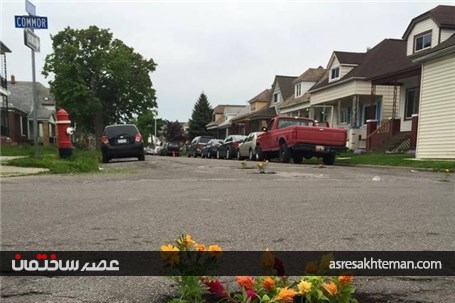تبدیل چاله ها و ترک های خیابان به گلدان+تصاویر