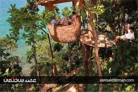 رستوران درختی تایلند و پذیرایی! +عکس