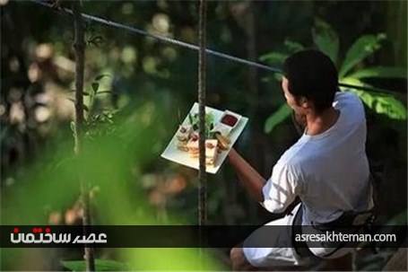 رستوران درختی تایلند و پذیرایی! +عکس
