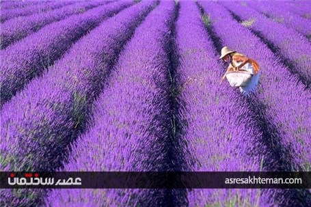 رنگارنگ ترین مکان‌های جهان (بخش اول)