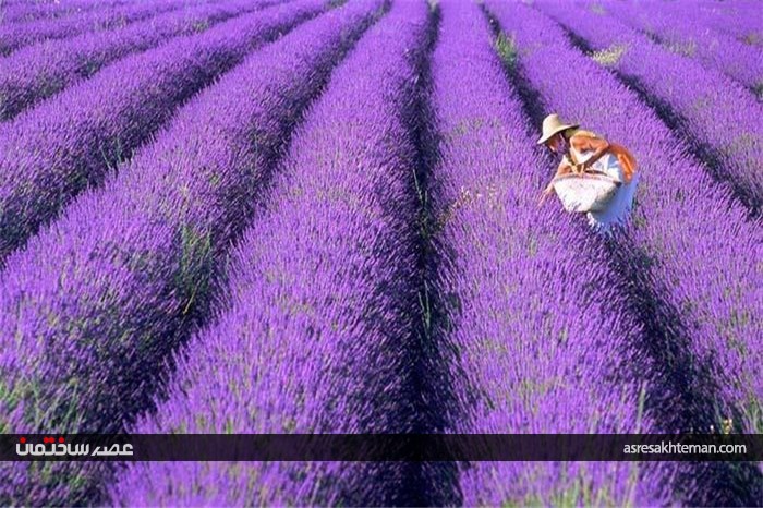 رنگارنگ ترین مکان‌های جهان (بخش اول)