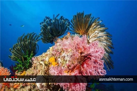 رنگارنگ ترین مکان‌های جهان (بخش اول)