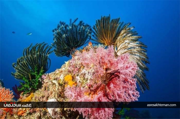 رنگارنگ ترین مکان‌های جهان (بخش اول)