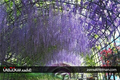 رنگارنگ ترین مکان‌های جهان (بخش دوم – پایان)