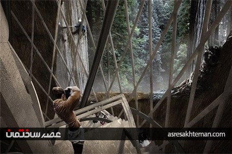 آسمان خراشی داخل درخت سکویای عظیم
