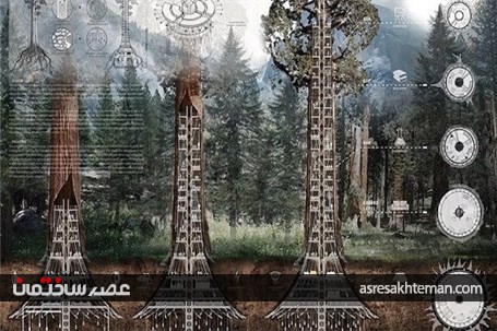 آسمان خراشی داخل درخت سکویای عظیم