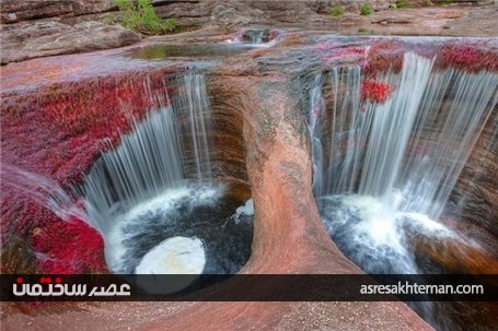 با رودخانه خون آشام آشنا شوید +تصاویر