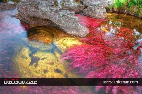 با رودخانه خون آشام آشنا شوید +تصاویر