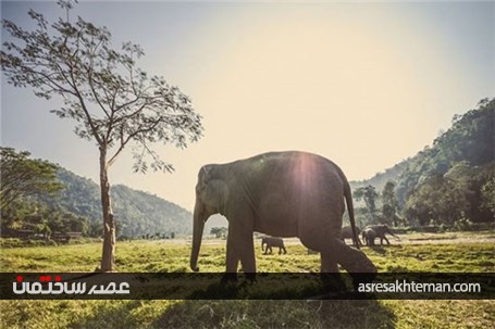 سفر به تایلند، بهشت آسیا