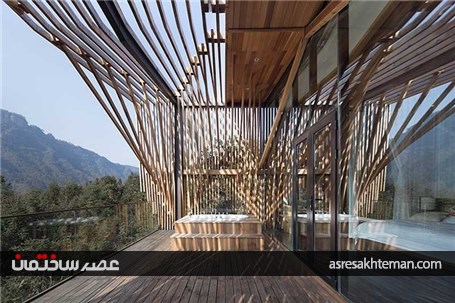 خانه درختی M با سقفی معکوس