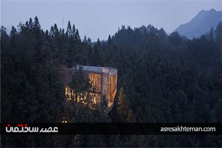 خانه درختی M با سقفی معکوس