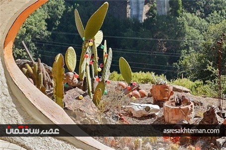 خانه گران قیمت عجیب و غریب+ تصاویر