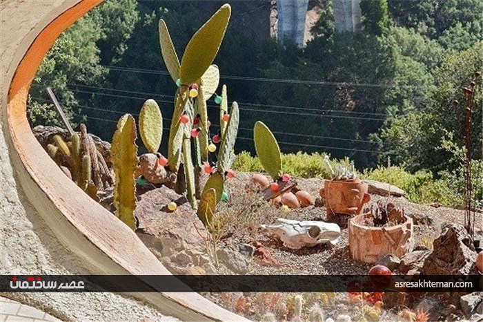 خانه گران قیمت عجیب و غریب+ تصاویر