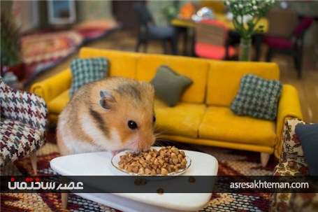 ساخت یک خانه ی مینیاتوری بسیار زیبا برای همسترها که حدود 3 ماه زمان برده است