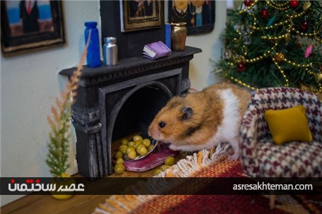 ساخت یک خانه ی مینیاتوری بسیار زیبا برای همسترها که حدود 3 ماه زمان برده است