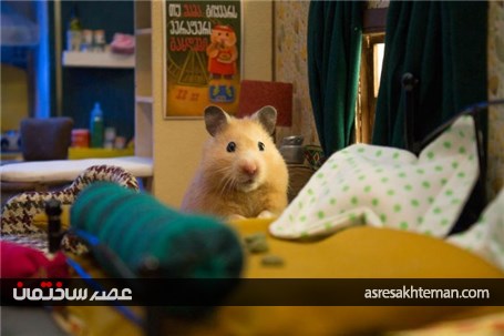 ساخت یک خانه ی مینیاتوری بسیار زیبا برای همسترها که حدود 3 ماه زمان برده است