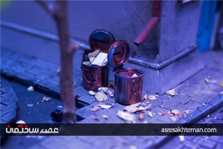 ساخت یک خانه ی مینیاتوری بسیار زیبا برای همسترها که حدود 3 ماه زمان برده است