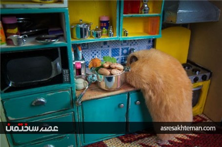 ساخت یک خانه ی مینیاتوری بسیار زیبا برای همسترها که حدود 3 ماه زمان برده است