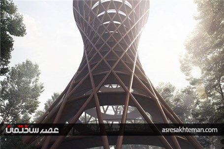 برج مشاهده میان جنگل با دیدگاه پانوراما