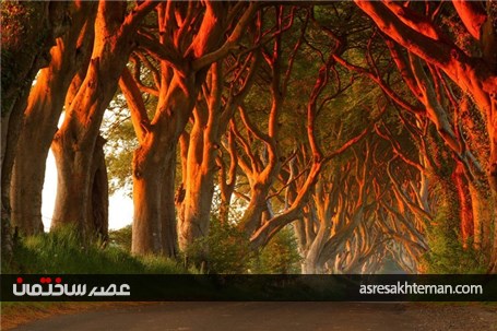 7 خیابان زیبا در جهان