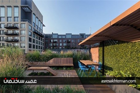 طراحی روف گاردن سبز به همراه نیمکت های چوبی