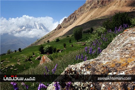 دامنه‌های البرز+عکس