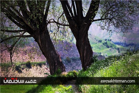 دامنه‌های البرز+عکس