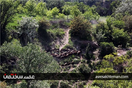 دامنه‌های البرز+عکس